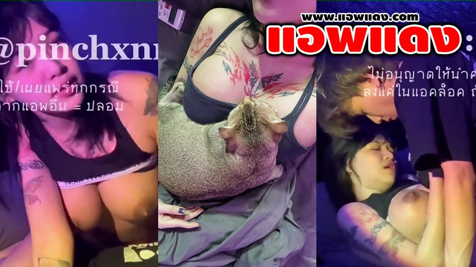 คลิปหลุดOnlyfans pinchxnn สาวขี้เงี่ยนมาขึ้นขย่มควยแฟนหนุ่มลีลาโครตเด็ดครางเสียวสุดๆ