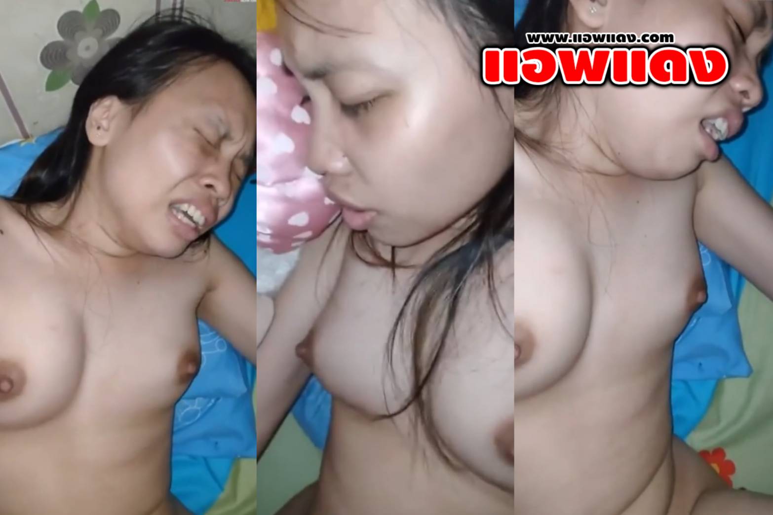 คลิปโป๊ไทย เย็ดสาวใจร่าน มีผัวแล้วก็มาให้เย็ด จับควยยัดปากแล้วให้ดูดหัวควย แล้วเย็ดสดร้องครางทำหน้าเสียวหีอย่างมันส์