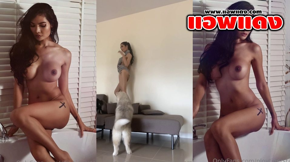 คลิปหลุดOnlyfans ploytigerstam สาวผิวแทนขี้เงี่ยนมาแหวกขาแก้ผ้าโชว์หุ่นเดินโชว์ หุ่นคือแบบน่าจับเย็ดจัดๆลีลาการร่อนเอวเด็ดน่าจับเย็ดจัดๆ